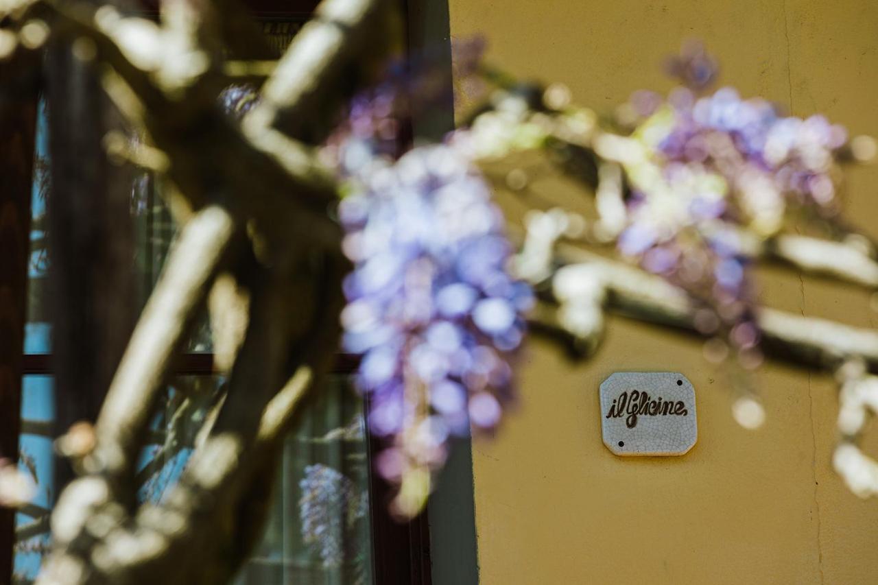 Agriturismo Montalbino Montespertoli Exterior foto
